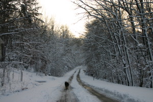 Winter Wonderland 2012 141